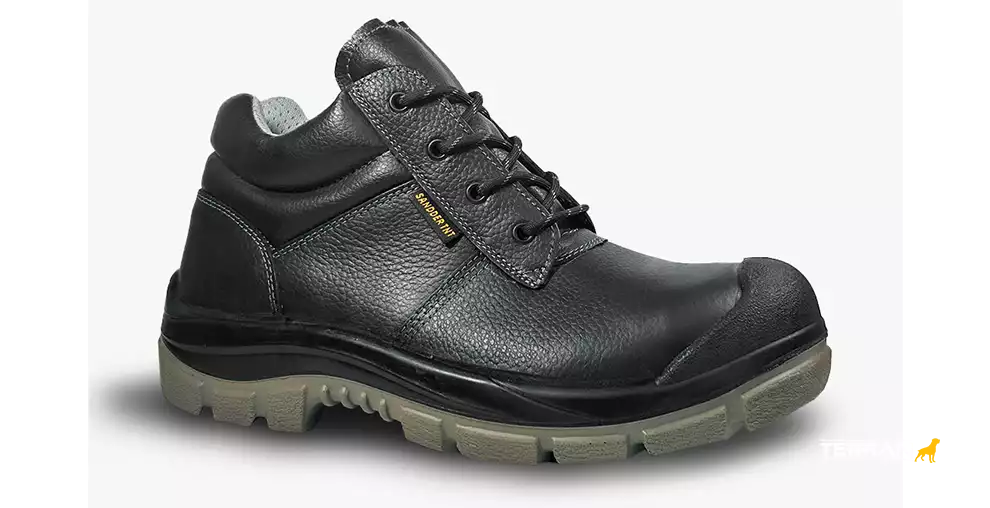 zapatos ares