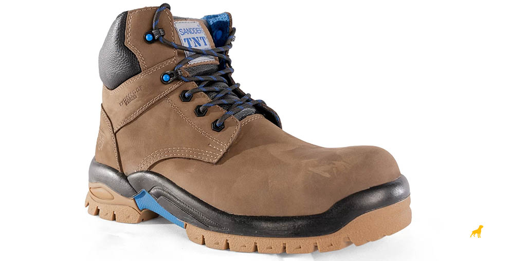 botin dielectricos leonidas