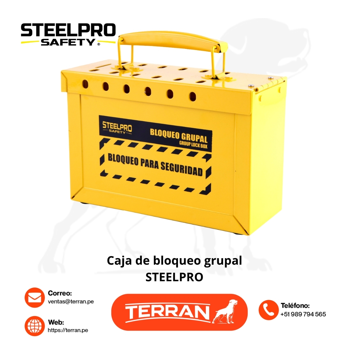 Caja de Bloqueo Grupal Steelpro