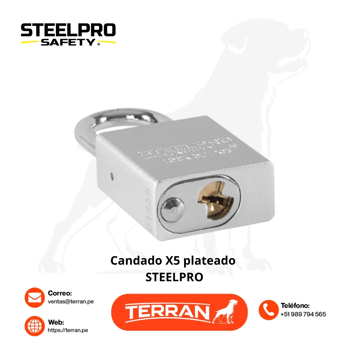 Candado X05 Plateado Steelpro