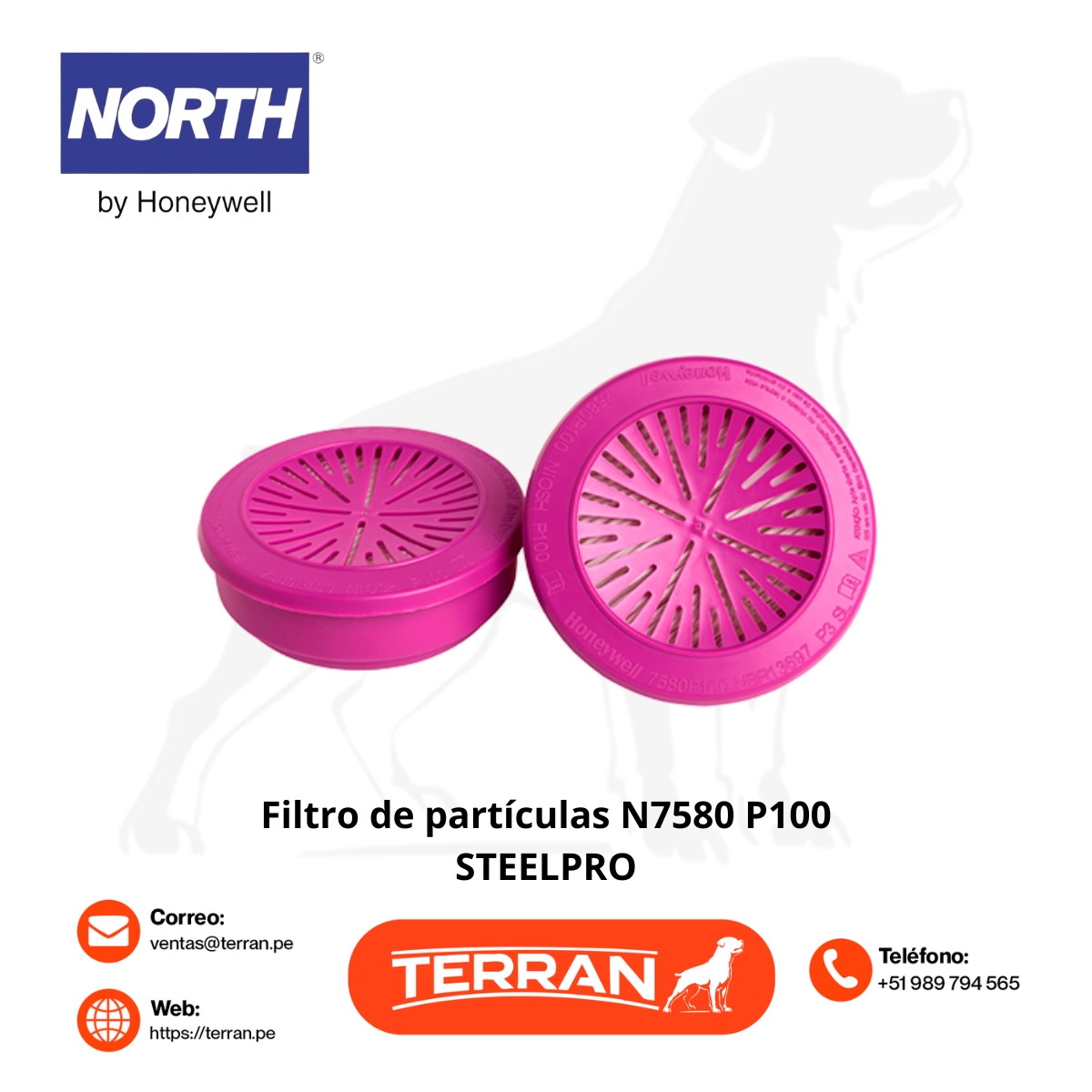 Filtro de Particulas N7580 P100 North