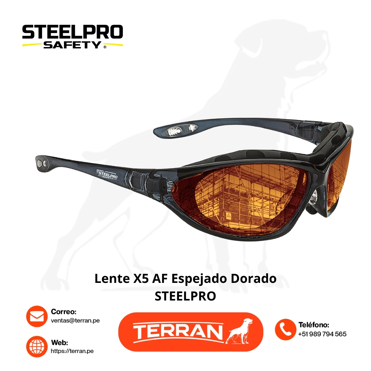 Lente X5 Dual Espejado AF Dorado Steelpro