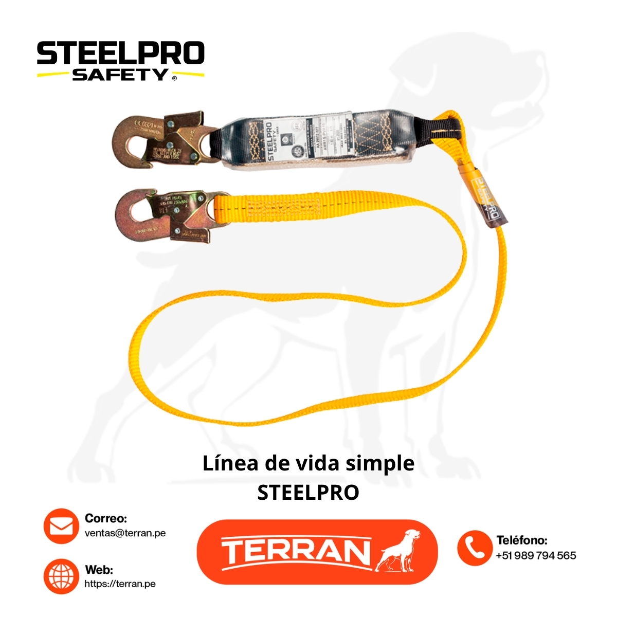 Línea de Vida Simple Steelpro