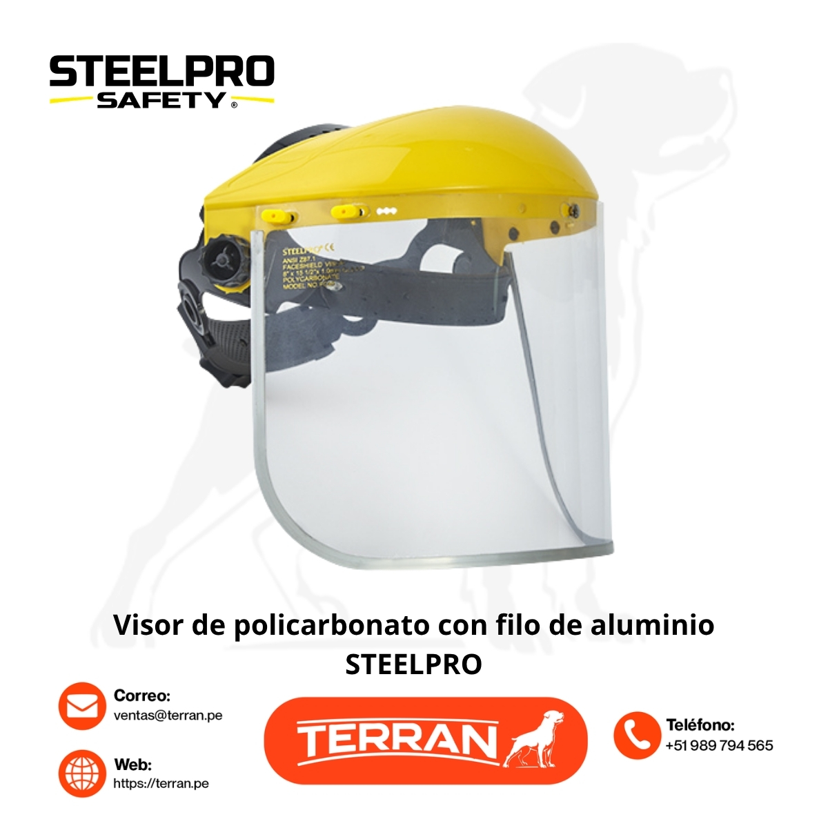 Visor Facial de Policarbonato CF612 Steelpro